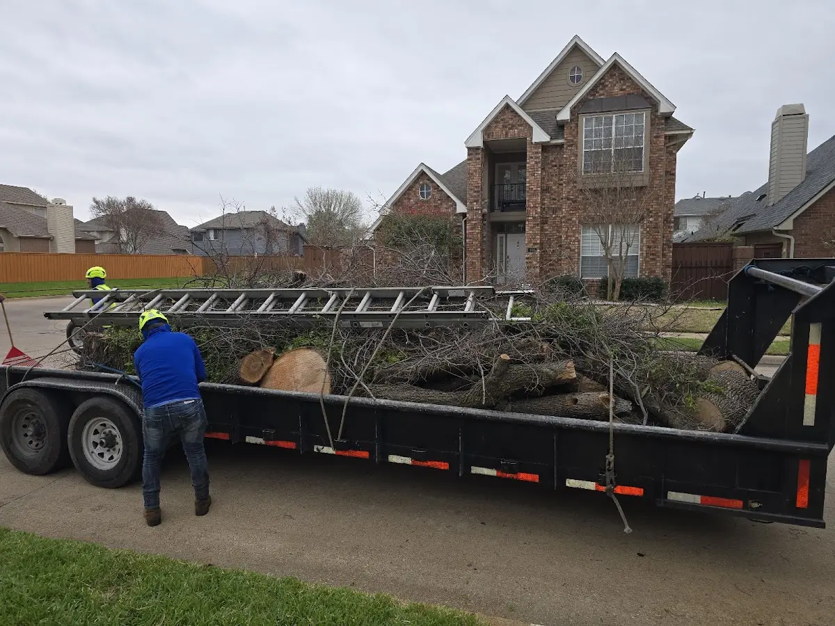 Expert Tree Pest Control with proper safety equipment in Perry Point